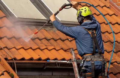 Démoussage et hydrofuge de toiture à Schorbach